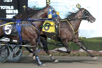 Mohawk: Foiled Again becomes richest pacer ever with Canadian Pacing